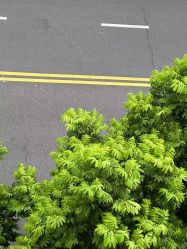 -苏奇发型·烫发染发