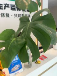-Dr.林醫生产后修复·配方产康店(南京大厂店)