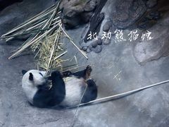 -北京动物园