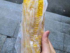 玉米-湖南大学-第4食堂
