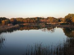 -贡湖湾湿地公园