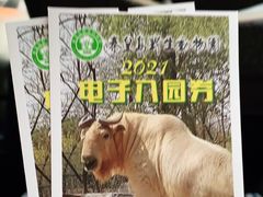 -秦皇岛野生动物园