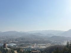 -中原大佛景区