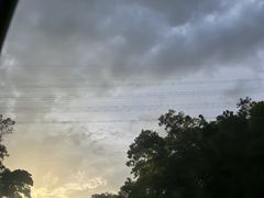 -俏张飞杀猪粉(敏捷广场店)