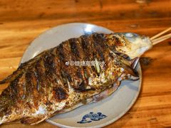 烤鲫鱼-晓靖轩烧烤(沙河风情店)
