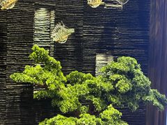 -上足·影院足道·SPA(红岭店)