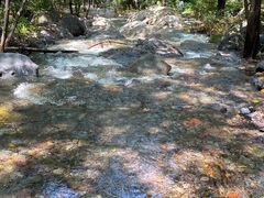 -云岫谷游猎自然风景区