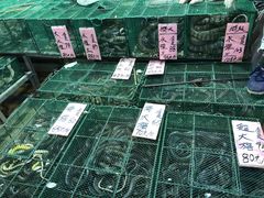 -荔城生鲜盛宴(番禺旗舰店)