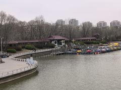 -塘沽森林公园