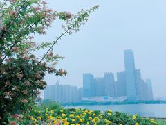 -天鹅湖体育公园