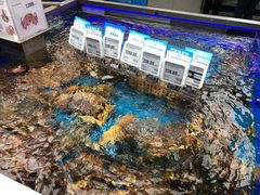 -盒马鲜生(大成店)