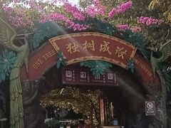 -独树成林