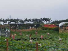 -盈香心动乐园
