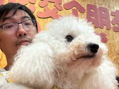-和它·交个朋友·狗咖猫咖(爱琴海店)