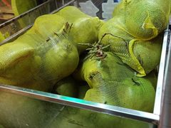 -东山羊庄(八卦岭店)