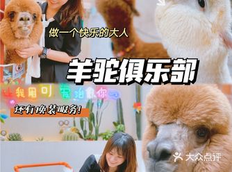 北京路治愈宝店 ｜ 女神经大战呆萌神兽