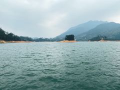-广州市流溪河国家森林公园