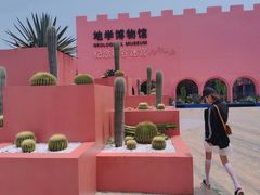 -漳州滨海火山岛自然生态风景区