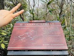 -九曜山