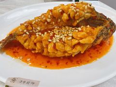 -津津菜馆(绝没分店)