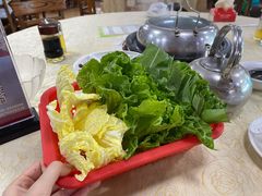 杂菜-渔文乐农庄