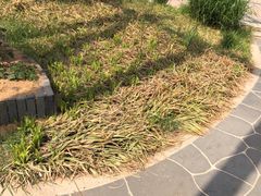 -东海森林温泉度假酒店
