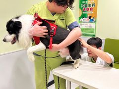 -艾吉宠物医院·疑难杂症转诊中心·猫友好(碧江路院)
