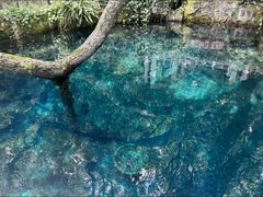 -蝴蝶泉公园