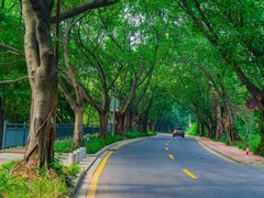 -南国桃园旅游度假区