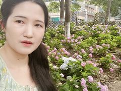 -常州古运河南大街文化旅游区-人民公园