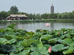 -西海子公园
