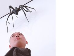 -旧金山现代艺术博物馆