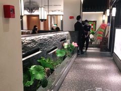 -大榕树下顺德菜(融创茂店)