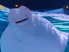 -沈阳海洋探索中心