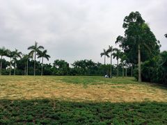 -聚龙山公园