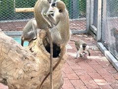 -水上乐园·欢乐世界