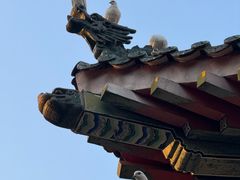-西安大兴善寺