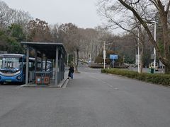 -灵谷景区