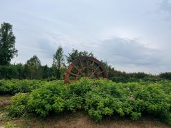 点击看大图 -优沃得自然教育农场·冰雪乐园·生日会·研学