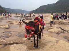 -陕西黄河壶口瀑布旅游区