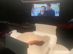 -枫花园汽车电影院(朝阳公园店)