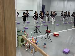 -西安小天鹅艺术团(金花路校区)