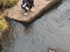 -汤旺河林海奇石景区