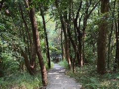 -广州市帽峰山景区