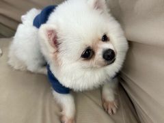 -怪兽屋·羊驼·猫咖·狗咖(俊华广场店)