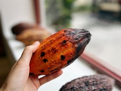 -SANYAY叁言咖啡巧克力