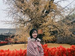 -汉景帝阳陵博物院