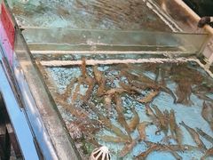 -苏浙徽·农家大院(开发区星湖101店)
