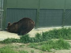 -上海野生动物园