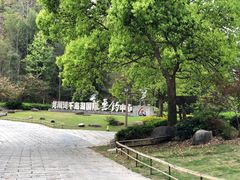 -千岛湖龙川湾